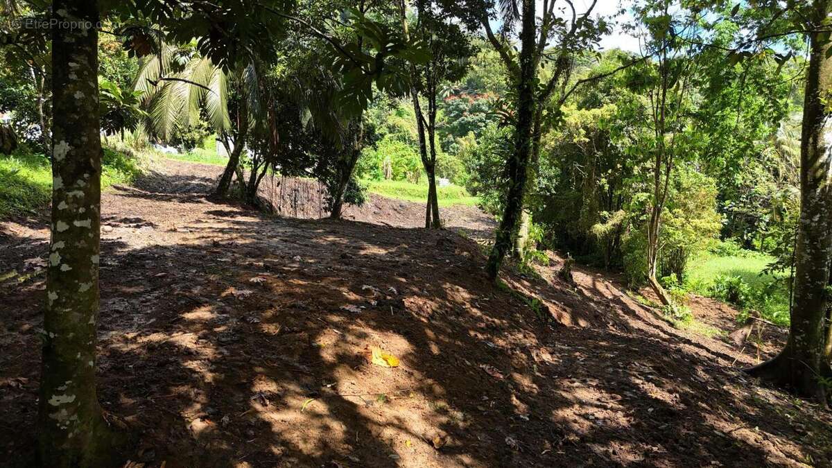 Photo 3 - Terrain à FORT-DE-FRANCE