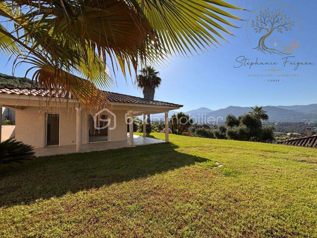 Villa Antoine Bastelicaccia - photo 2