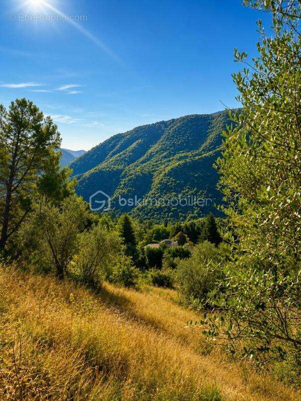 Terrain constructible 2 126 m² – Permis purgé – 325 m² de surface de plancher - photo 6