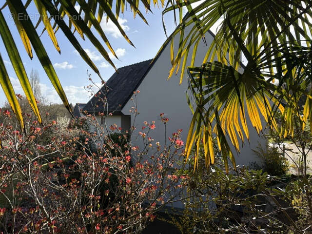 Maison à FOUESNANT