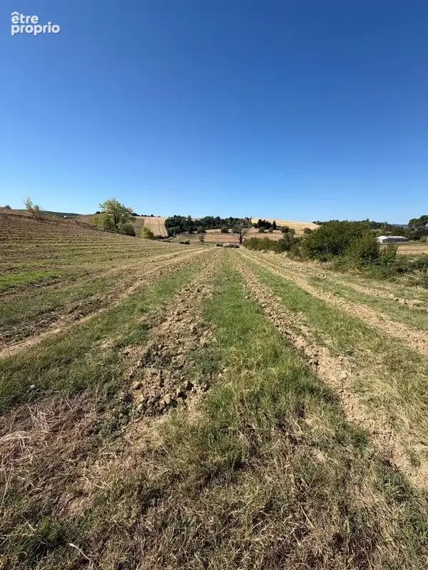 Limoux - Terrain à bâtir d'environ 4 000m2 - photo 3