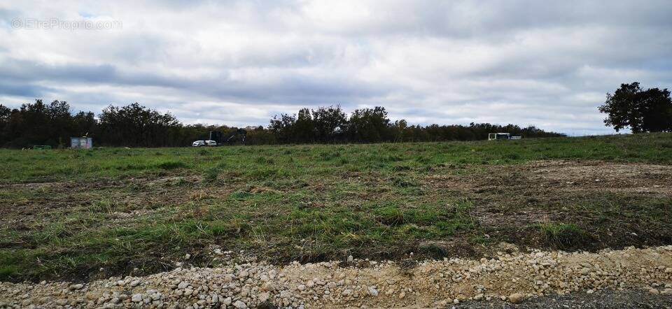 Terrain à CASTELNAU-DE-MONTMIRAL