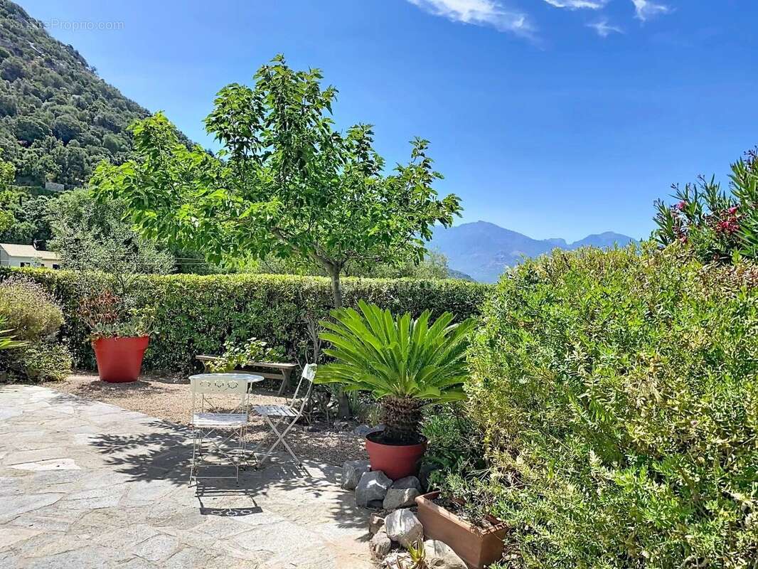 Vente Maison Lumio(20260) 990 000ï¿œ - photo 2