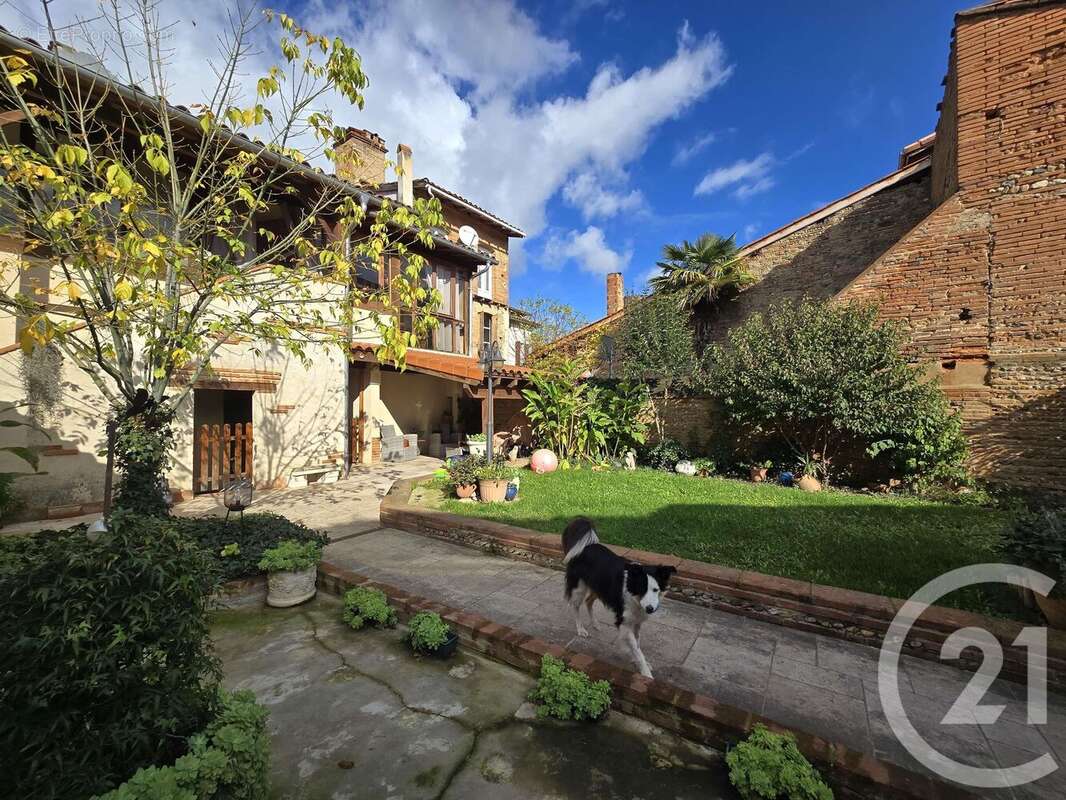 Maison à MONTESQUIEU-VOLVESTRE