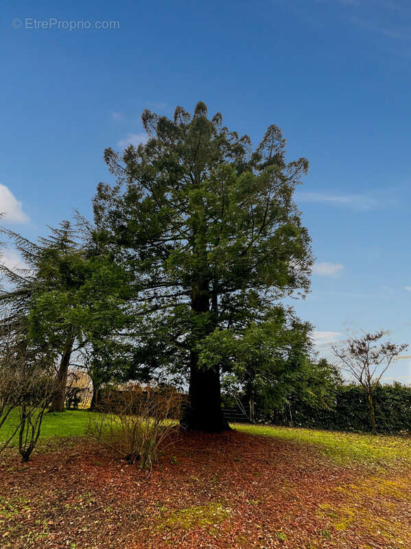 Maison à ROULLET-SAINT-ESTEPHE