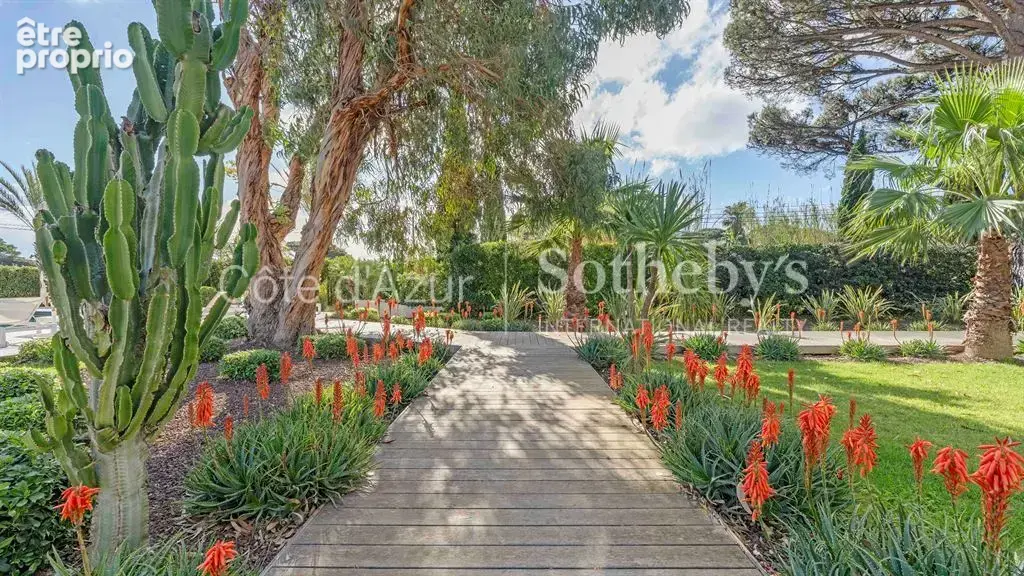 Ramatuelle Pampelonne propriété 162 m² terrain 7130 m² vignes piscine plage à pied - photo 4