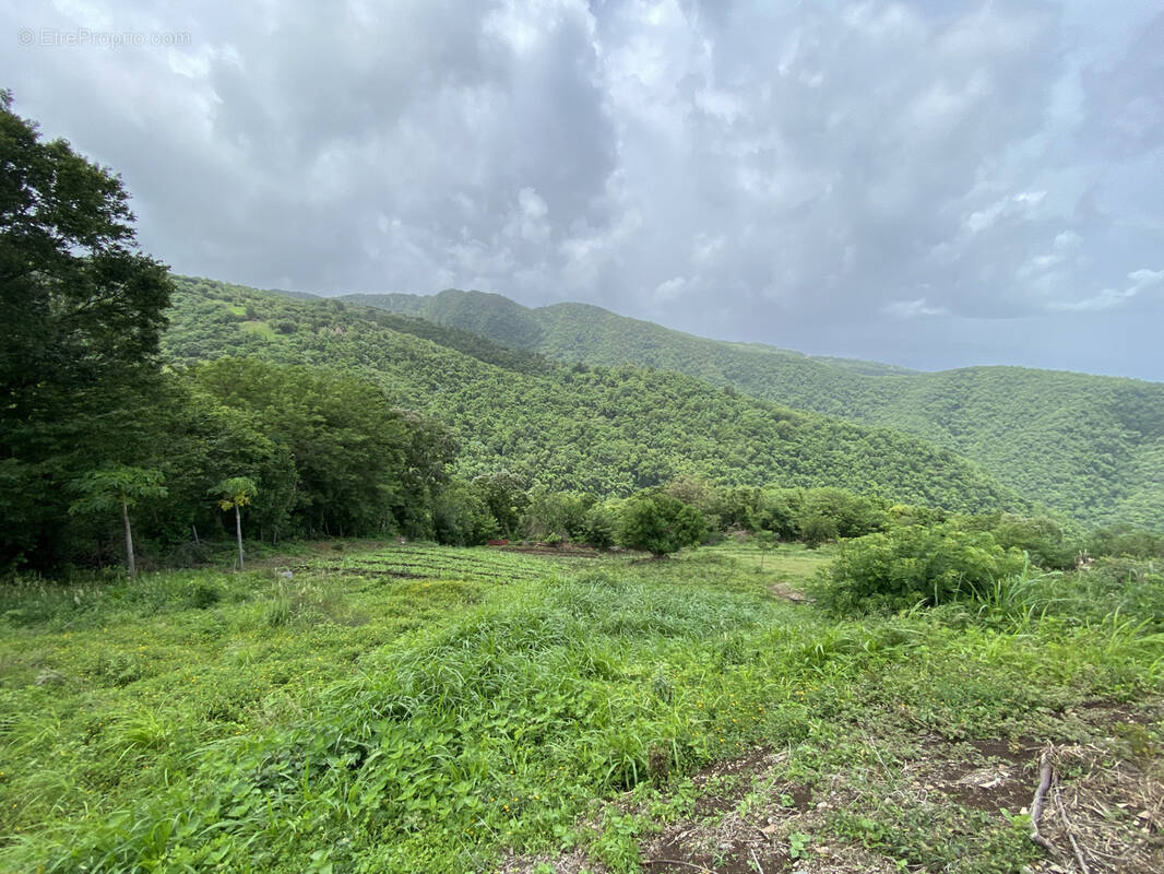 Terrain à BELLEFONTAINE