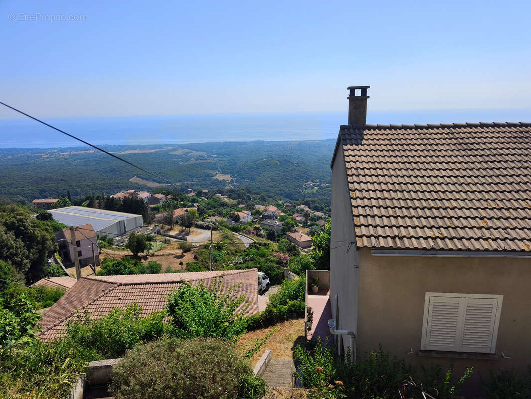 Maison à CERVIONE