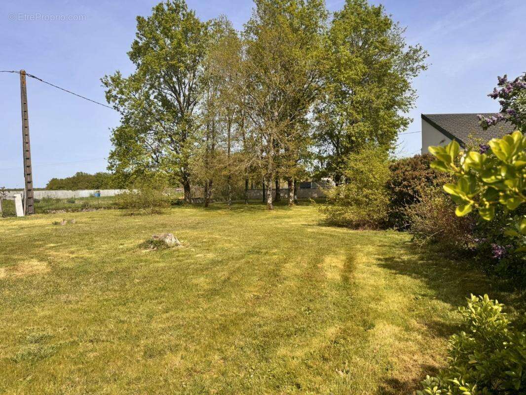 Terrain à VASSELAY