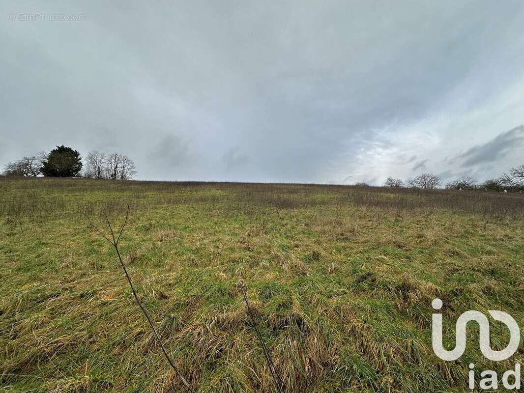 Photo 2 - Terrain à COURTENAY