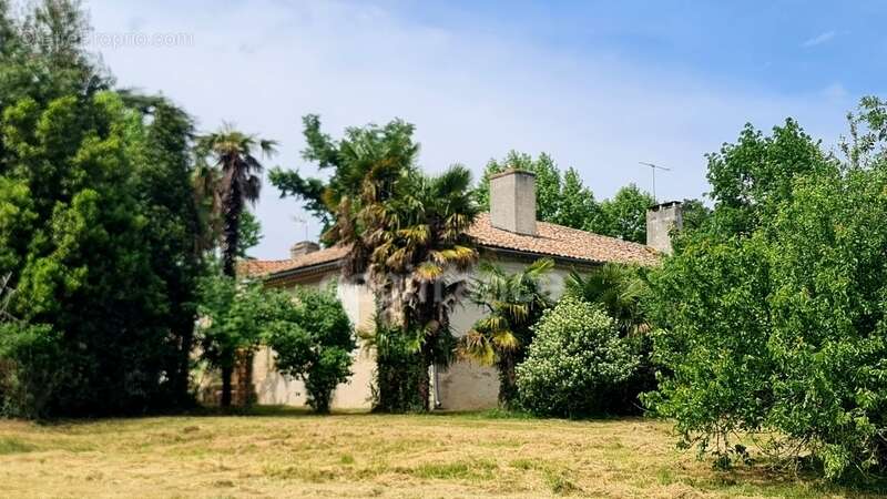À vendre : Propriété à restaurer, à 10 mn d'Auvillar, d'environ 240 m2 habitables, sur terrain de 7400 m2  (82) - photo 5