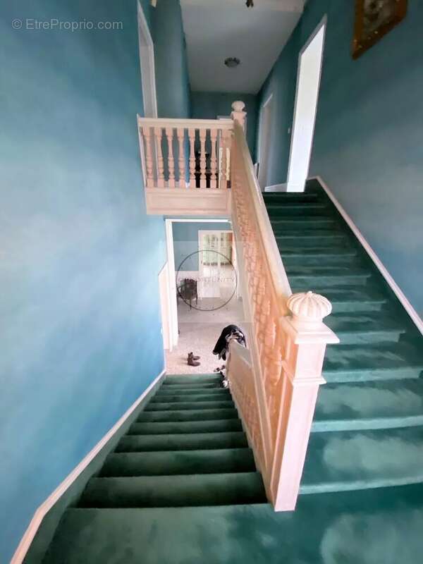 Propriete bourgeoise sur 1350 m² de terrain - photo 6