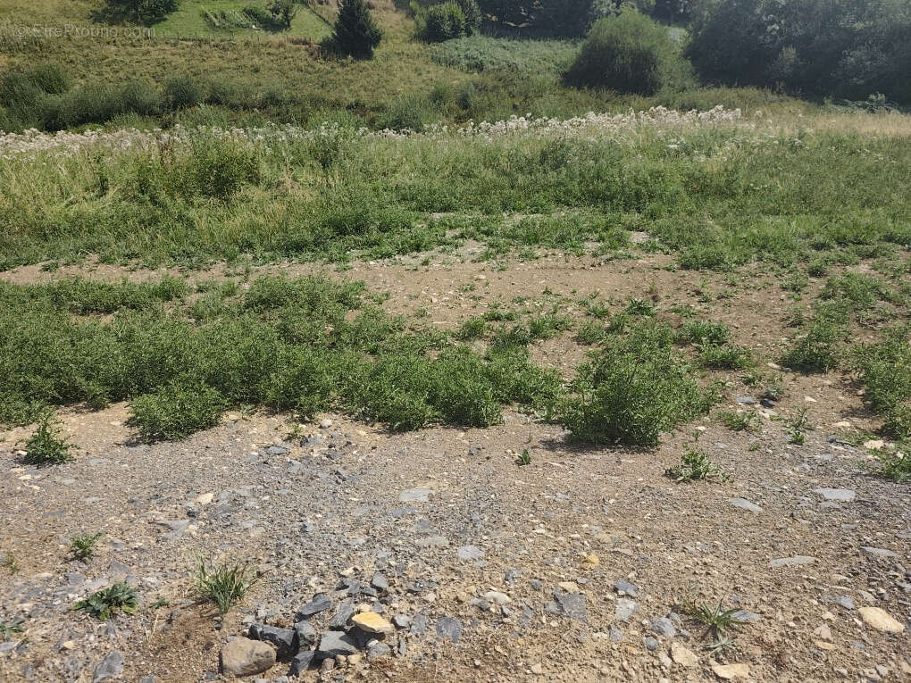 Terrain constructible   700 m2   La Tour d'Auvergne - photo 3