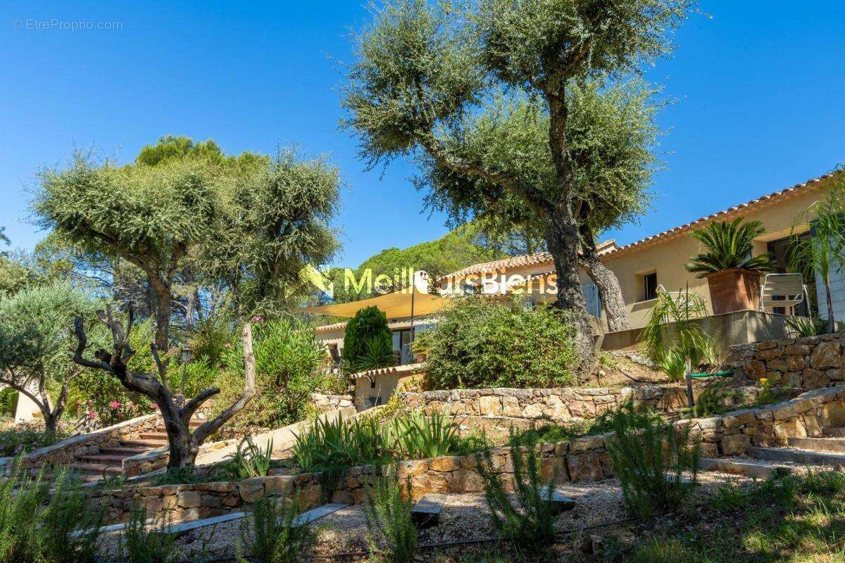 Maison à ROQUEBRUNE-SUR-ARGENS