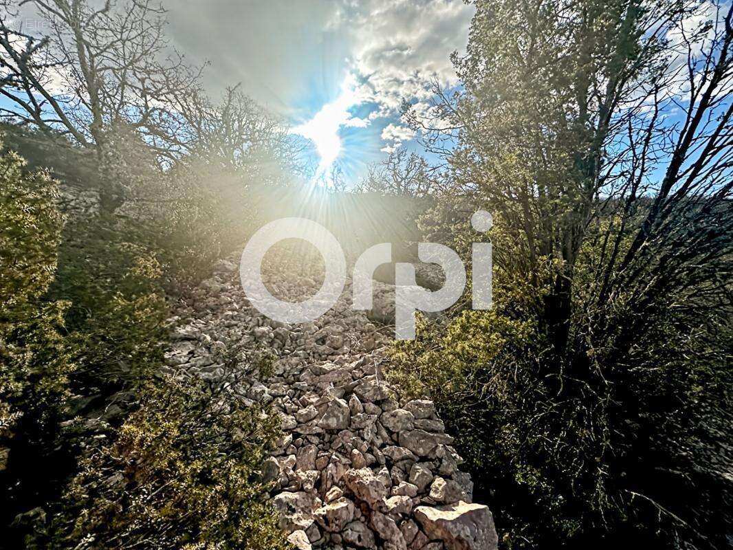 Terrain secteur Saint Paul Le Jeune - photo 7