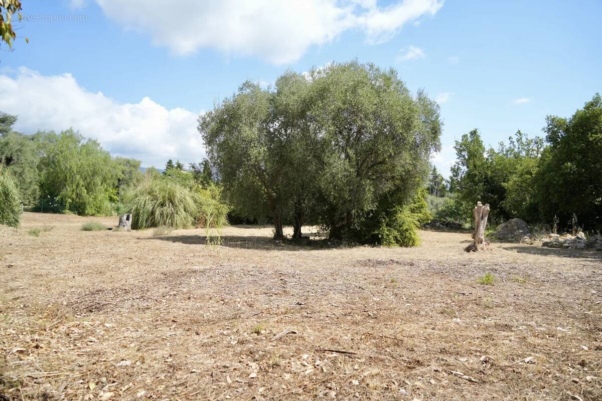 Terrain à ROQUEFORT-LES-PINS