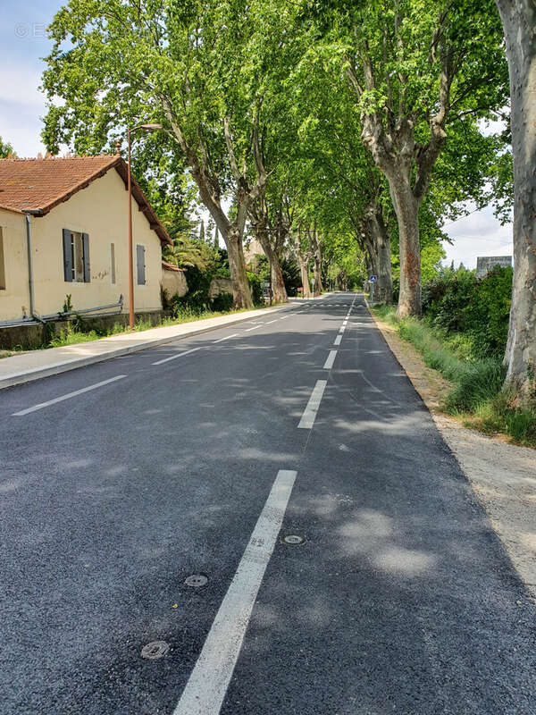 Terrain à SAINT-REMY-DE-PROVENCE