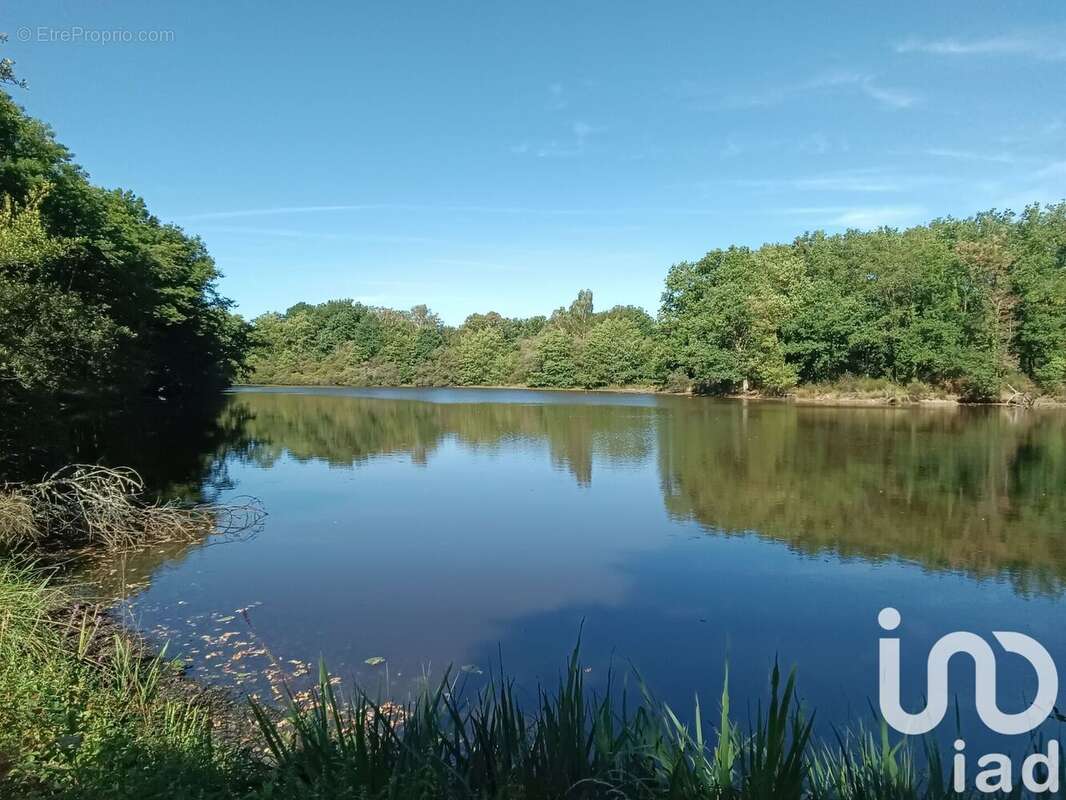 Photo 6 - Terrain à BORD-SAINT-GEORGES