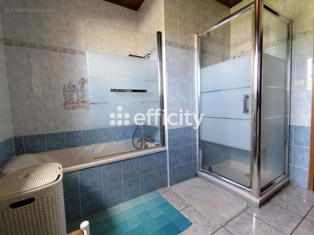 Maison 161 m² à Saint-Romain-D'ay  - photo 13