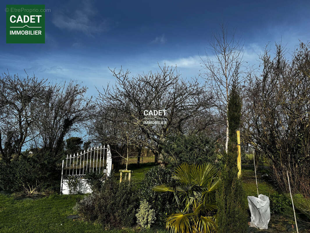 Maison à SAINT-PAIR-SUR-MER