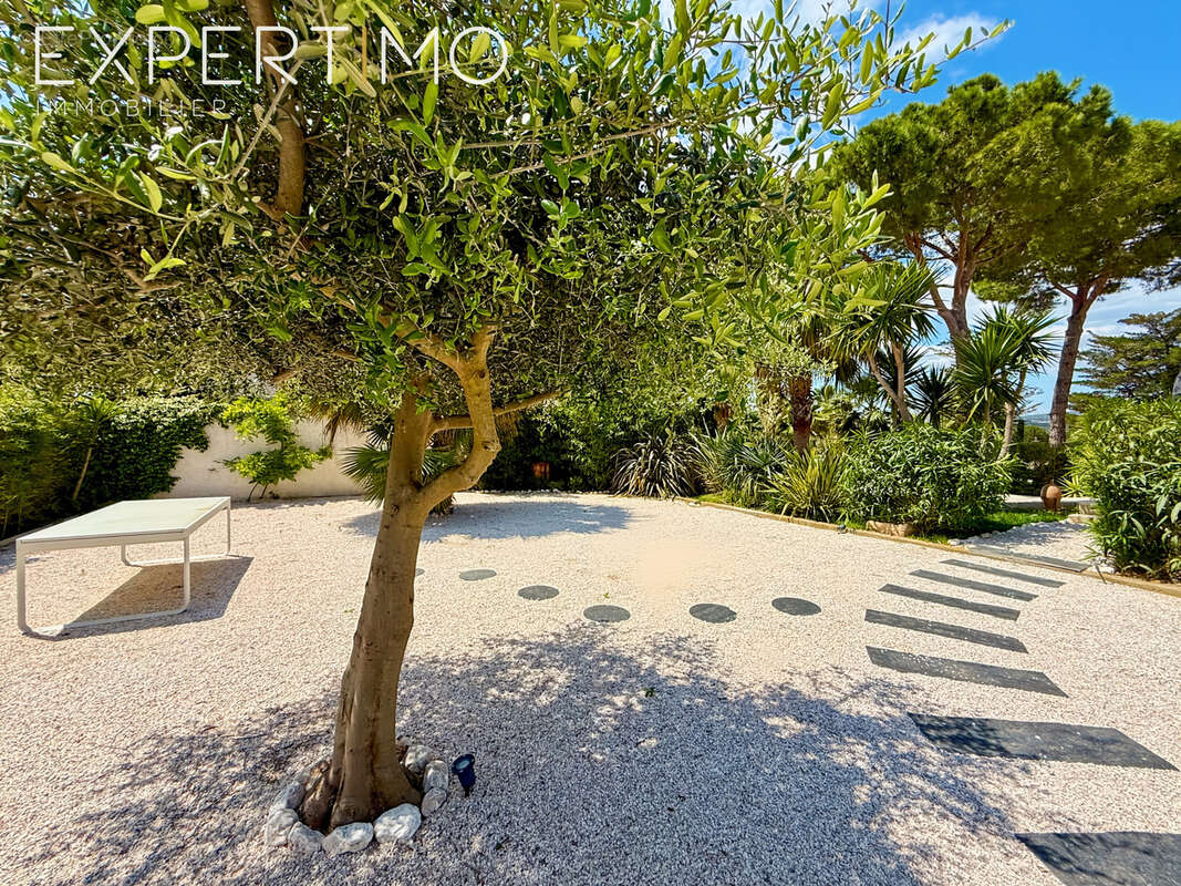 Propriété de 457 m2 + Piscine avec Pool House + 4 garages sur 5500 m2. - photo 27
