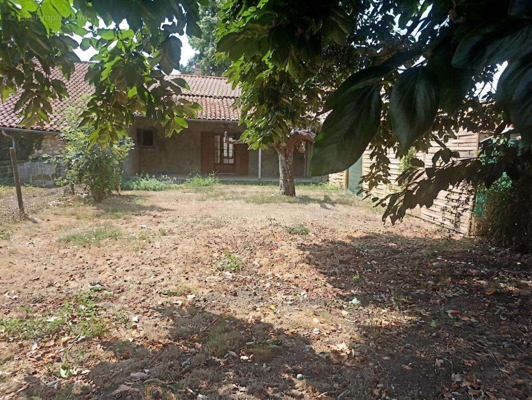 Maison de rapport - photo 15