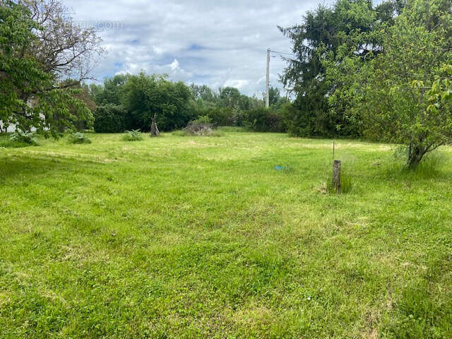 Maison à CREVANT-LAVEINE