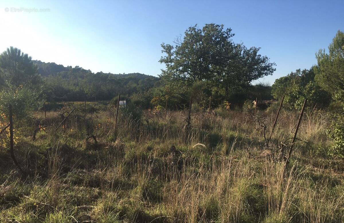 Terrain à GAREOULT