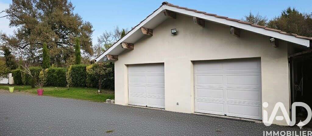 Photo 7 - Maison à SAUGNACQ-ET-MURET