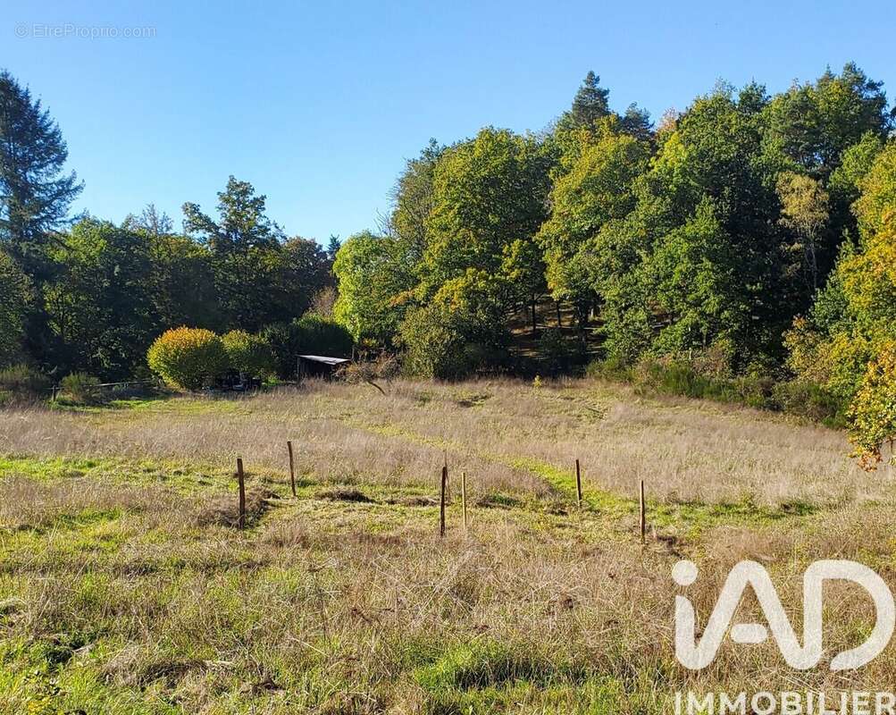 Photo 6 - Terrain à MOUSTIER-VENTADOUR