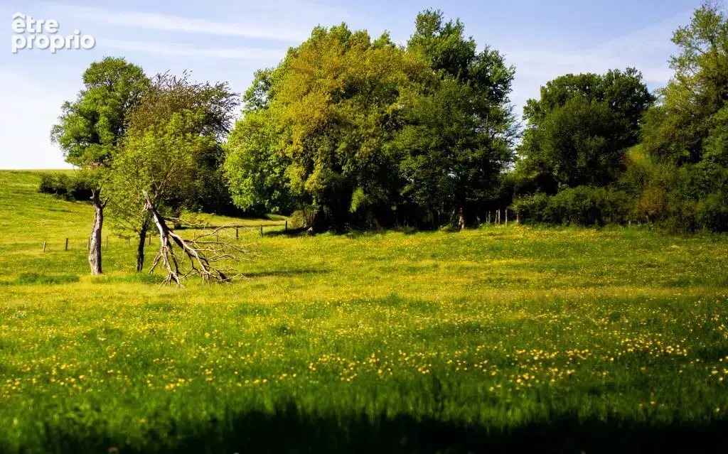 Terrain à SAINT-GUINOUX