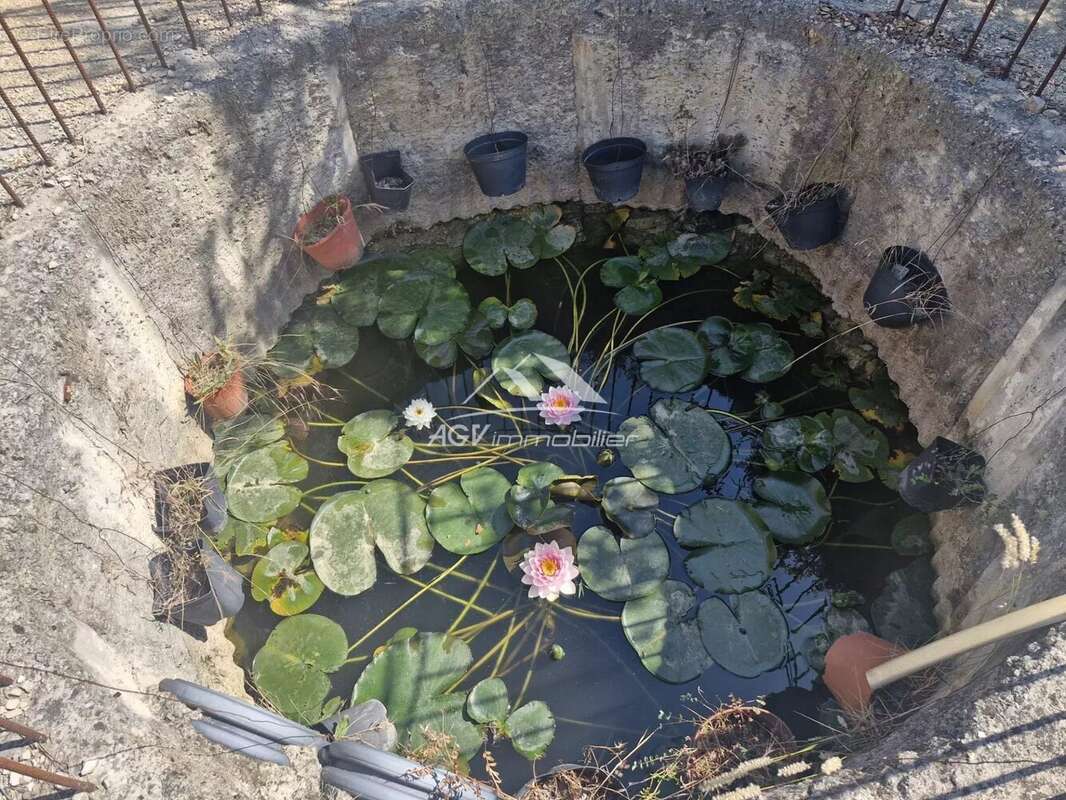 Maison à SAINT-FLORENT-SUR-AUZONNET