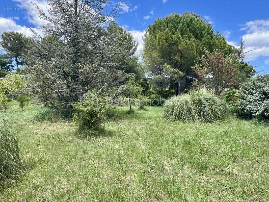 Très beau Terrain constructible au calme et proche des commodités - photo 3