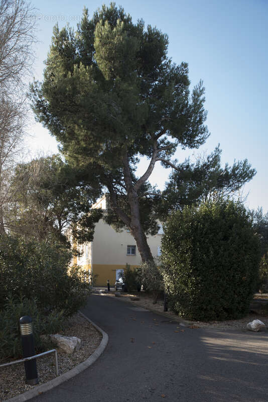 Appartement à AVIGNON