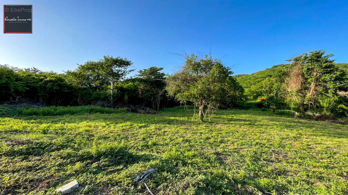 Terrain de 1 090 m2 à vendre - Sainte-Anne - photo 9