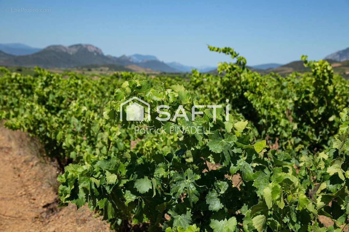 Photo 7 - Commerce à LATOUR-DE-FRANCE