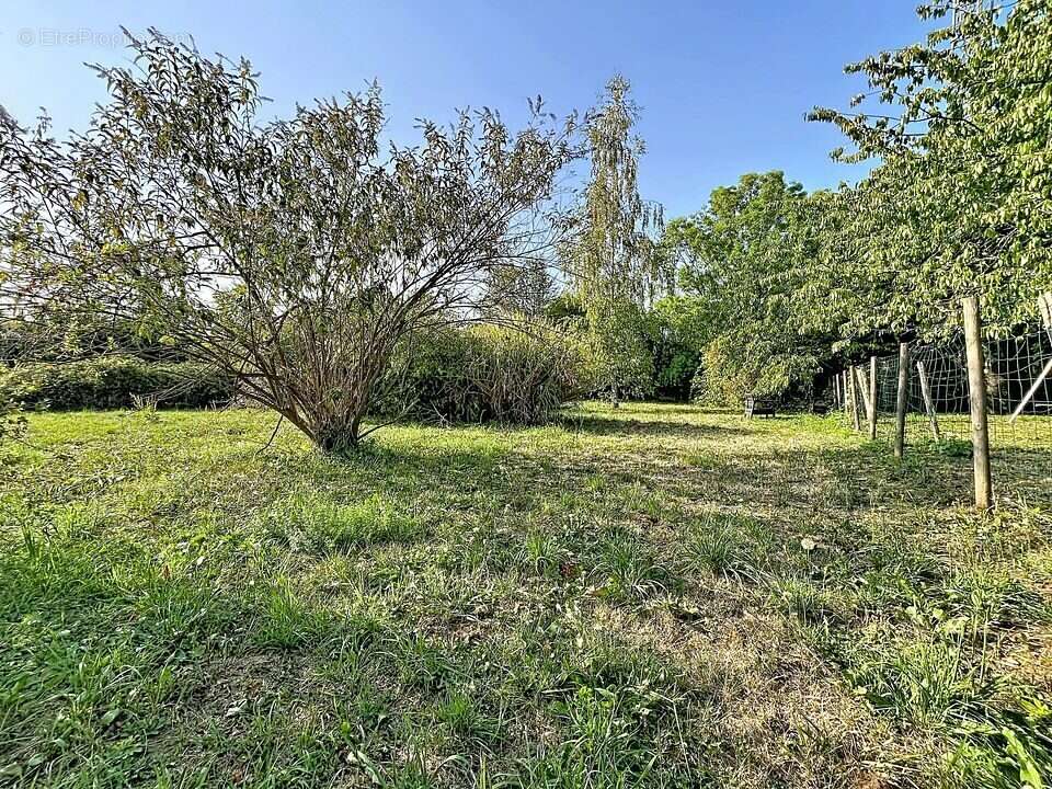 Maison 89 m² à Echenoz-La-Meline  - photo 3