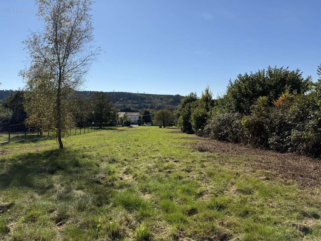 Terrain à BERTRICHAMPS