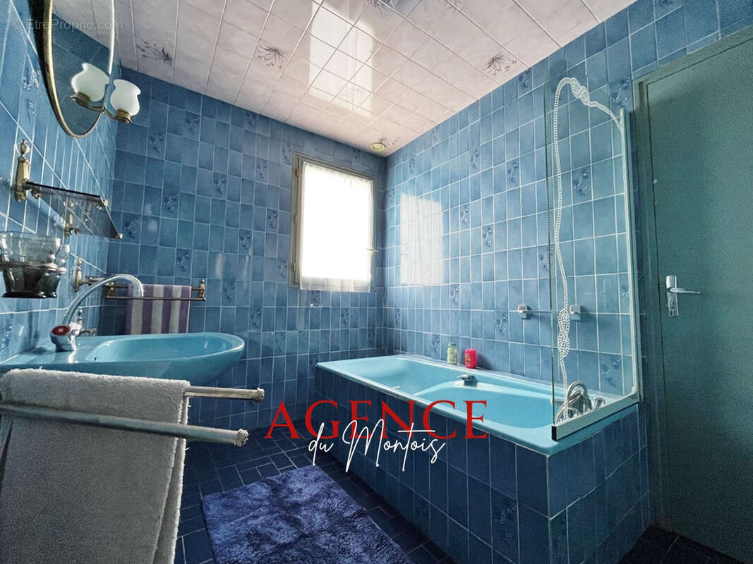 Maison à BRAY-SUR-SEINE