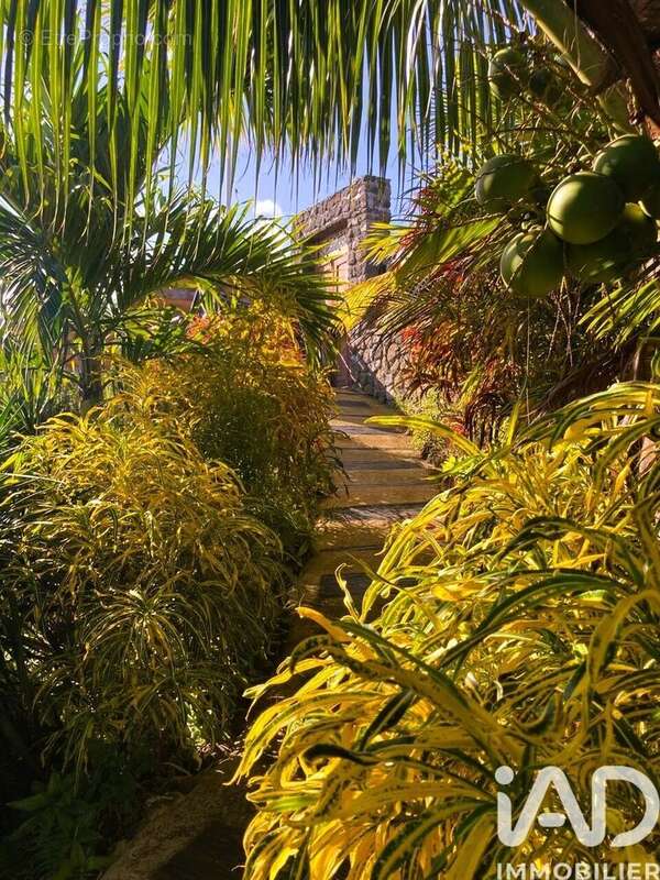 Photo 2 - Maison à SAINT-PIERRE