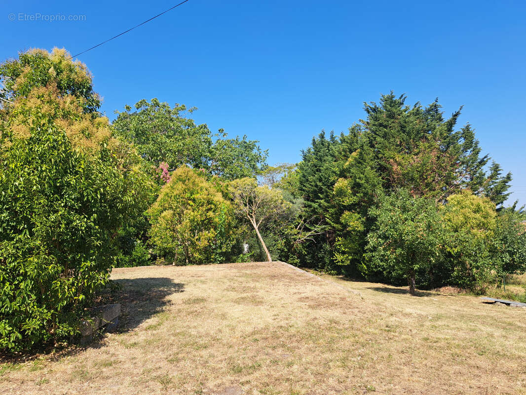 Maison en pierre rénovée avec jardin, à 5 min de Langon - photo 7