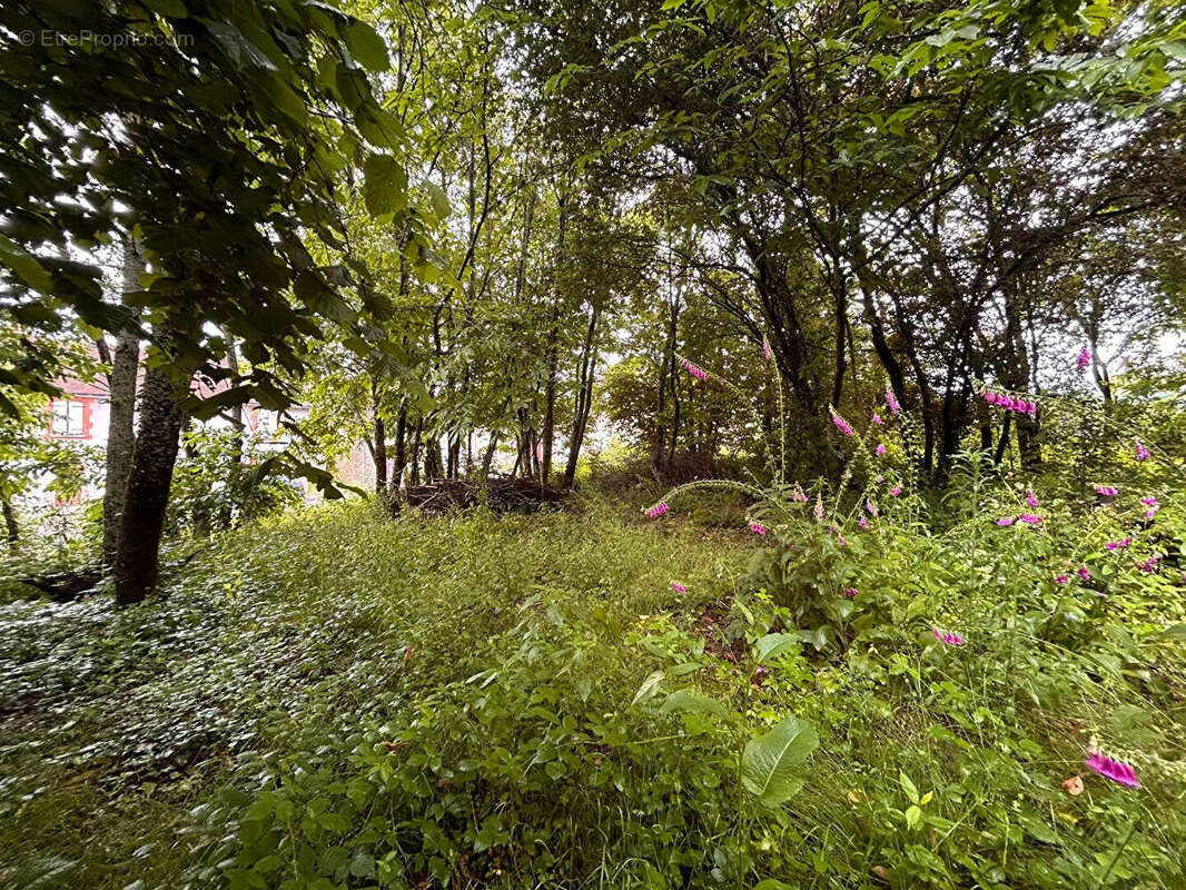 Terrain à LADIGNAC-LE-LONG