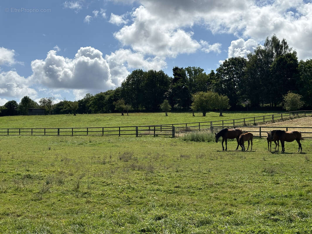 Maison à MOULINS-LA-MARCHE