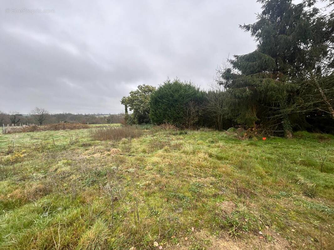 Photo 1 - Terrain à LA REMAUDIERE