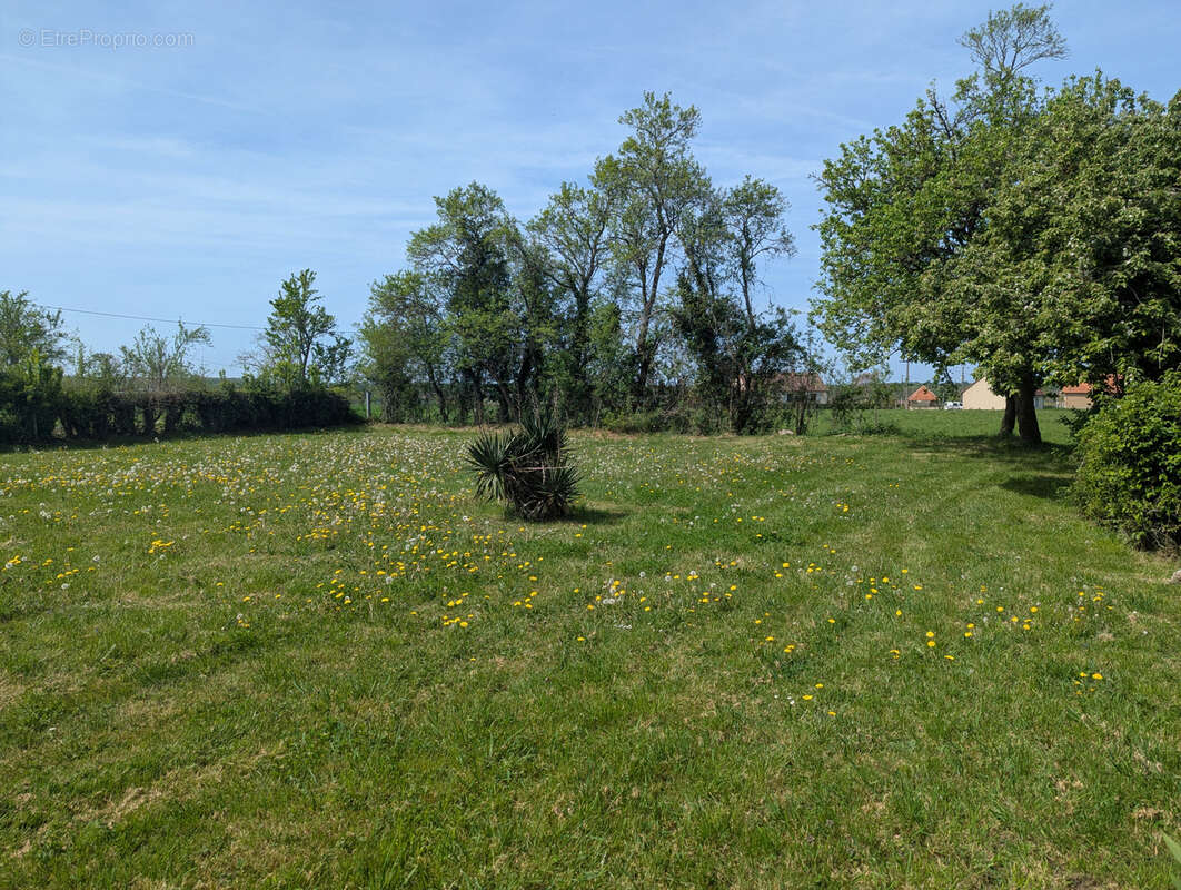 Maison à NEUVY-SAINT-SEPULCHRE