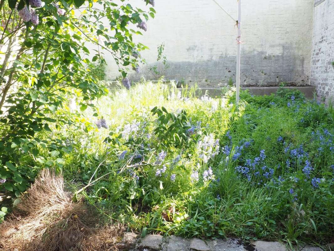 Maison à VALENCIENNES