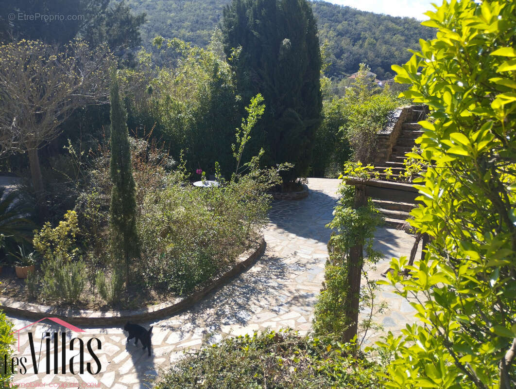 Mas au coeur des Albères à 5 mn de Céret - photo 22