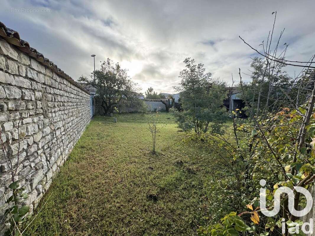 Photo 2 - Maison à SAINTE-MARIE-DE-RE