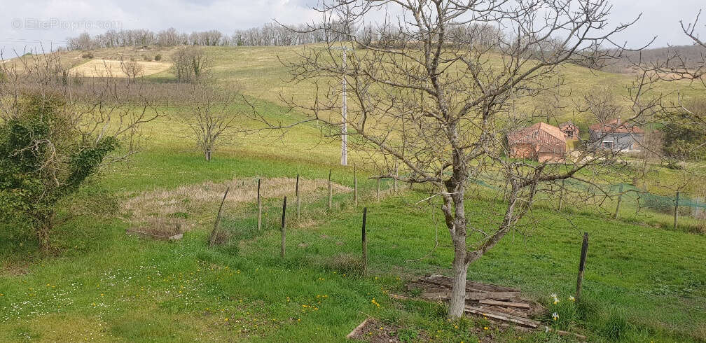 Maison à LAFRANCAISE