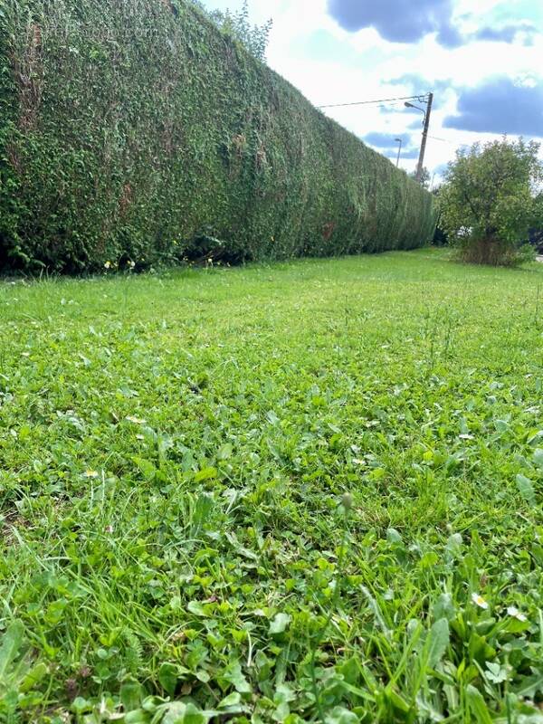 Terrain à AMFREVILLE-SUR-ITON